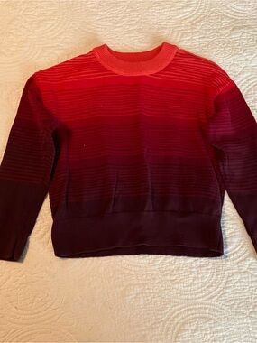 GAP Red to Burgundy Ombre Crewneck Sweater